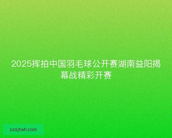 2025挥拍中国羽毛球公开赛湖南益阳揭幕战精彩开赛